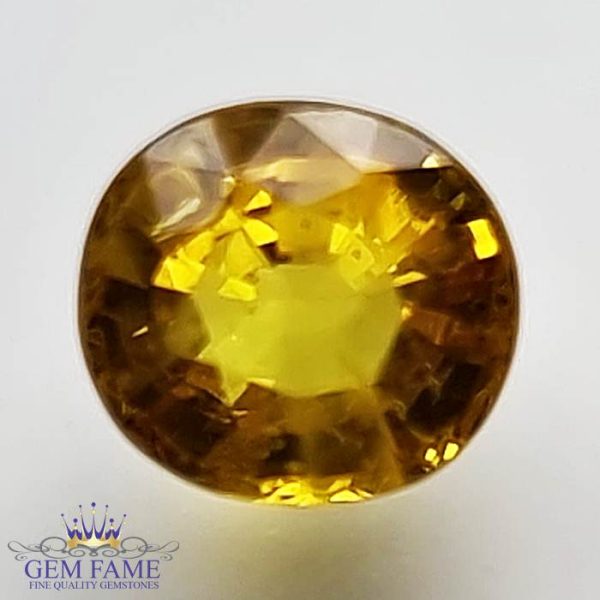 Yellow Sapphire 1.58ct Natural Gemstone Thailand