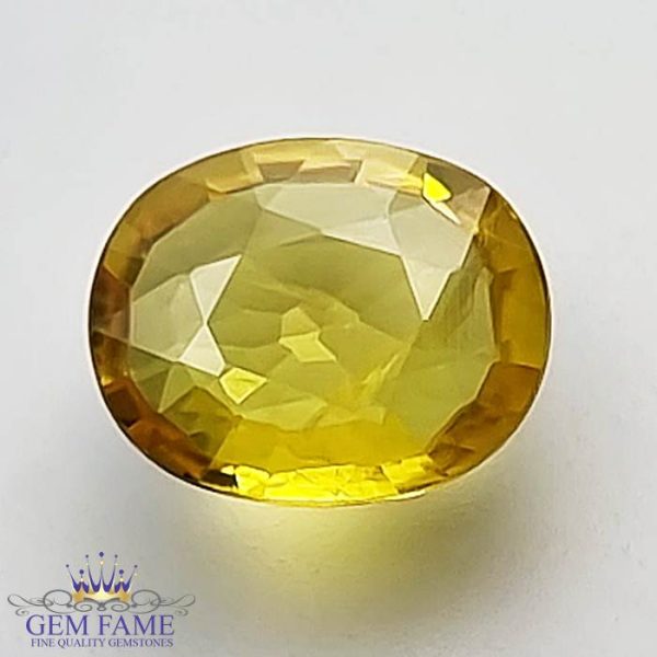 Yellow Sapphire 1.55ct Natural Gemstone Thailand