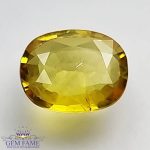 Yellow Sapphire 1.57ct Natural Gemstone Thailand