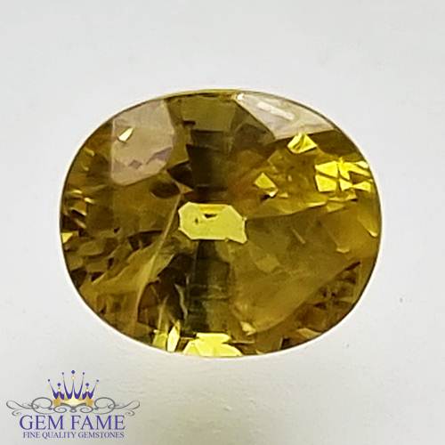 Yellow Sapphire 1.09ct Natural Gemstone Thailand