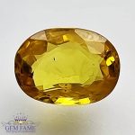 Yellow Sapphire 1.62ct Natural Gemstone Thailand