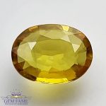 Yellow Sapphire 1.39ct Natural Gemstone Thailand