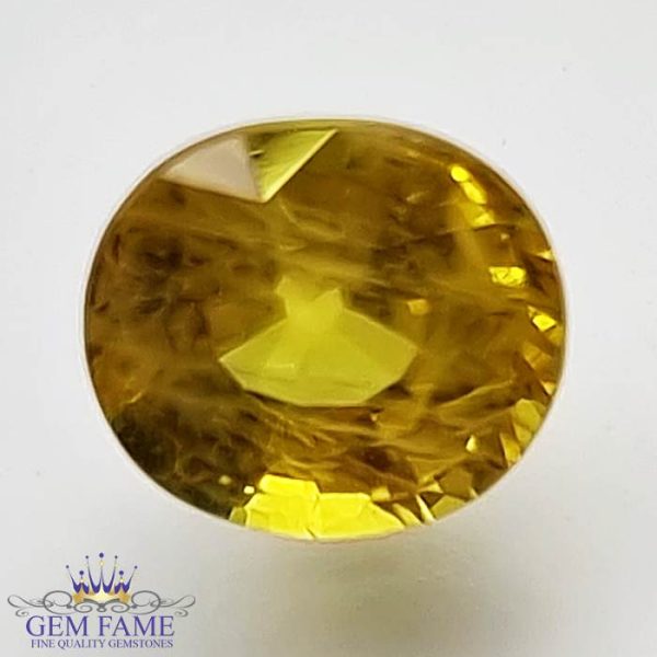 Yellow Sapphire 1.70ct Natural Gemstone Thailand