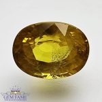 Yellow Sapphire 2.56ct Natural Gemstone Thailand