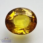 Yellow Sapphire 1.51ct Natural Gemstone Thailand