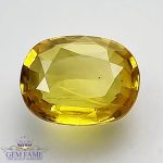 Yellow Sapphire 1.51ct Natural Gemstone Thailand