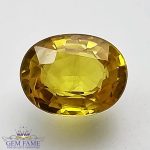 Yellow Sapphire 1.70ct Natural Gemstone Thailand