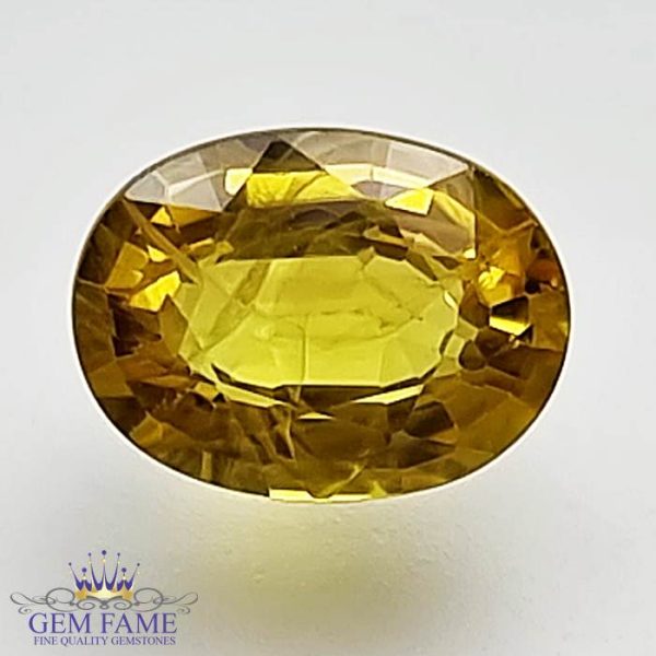 Yellow Sapphire 1.66ct Natural Gemstone Thailand