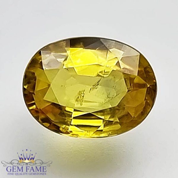 Yellow Sapphire 1.53ct Natural Gemstone Thailand