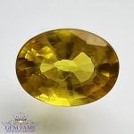 Yellow Sapphire 1.51ct Natural Gemstone Thailand