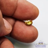 Yellow Sapphire 1.41ct Natural Gemstone Thailand