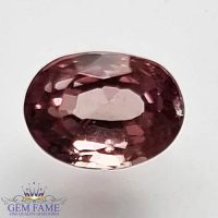 Padparadscha Sapphire 1.01ct Stone Ceylon