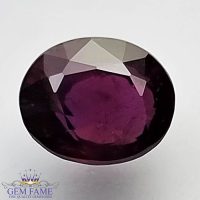 Ruby 1.61ct (Manik) Gemstone Ceylon