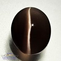 Sillimanite Cat's Eye 3.07ct Rare Gemstone