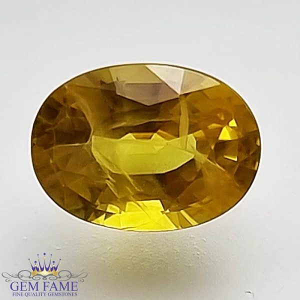 Yellow Sapphire 1.69ct Natural Gemstone Thailand