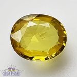 Yellow Sapphire 1.06ct Natural Gemstone Thailand