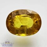 Yellow Sapphire 1.76ct Natural Gemstone Thailand