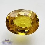 Yellow Sapphire 1.52ct Natural Gemstone Thailand