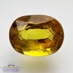 Yellow Sapphire 1.48ct Natural Gemstone Thailand
