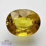 Yellow Sapphire 1.55ct Natural Gemstone Thailand