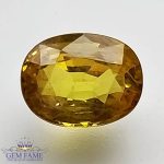 Yellow Sapphire 1.49ct Natural Gemstone Thailand