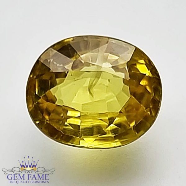 Yellow Sapphire 1.59ctNatural Gemstone Thailand