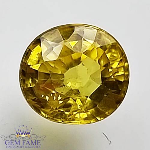 Yellow Sapphire 1.38ct Natural Gemstone Thailand