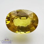 Yellow Sapphire 1.43ct Natural Gemstone Thailand