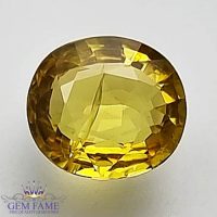 Yellow Sapphire 1.20ct Natural Gemstone Thailand