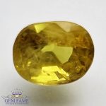 Yellow Sapphire 2.44ct Natural Gemstone Thailand