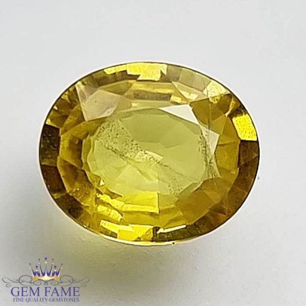 Yellow Sapphire 1.51ct Natural Gemstone Thailand