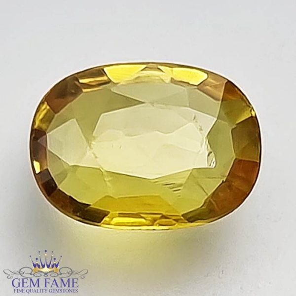 Yellow Sapphire 1.51ct Natural Gemstone Thailand