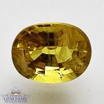 Yellow Sapphire 1.52ct Natural Gemstone Thailand