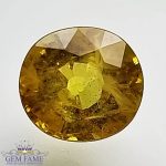 Yellow Sapphire 1.65ct Natural Gemstone Thailand