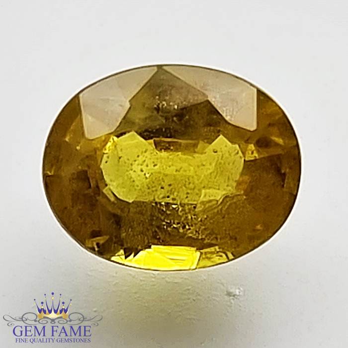 Yellow Sapphire 1.45ct Natural Gemstone Thailand