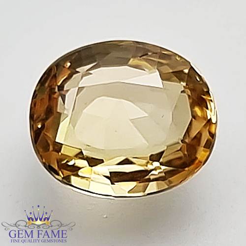 Light Yellow Sapphire 1.32ct (Pukhraj) Stone Ceylon