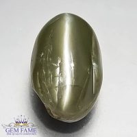 Chrysoberyl Cat's Eye 5.48ct Gemstone India