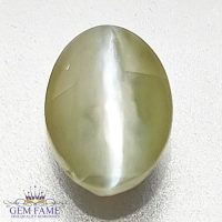 Chrysoberyl Cat's Eye 1.38ct Gemstone India