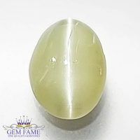 Chrysoberyl Cat's Eye 1.49ct Gemstone India