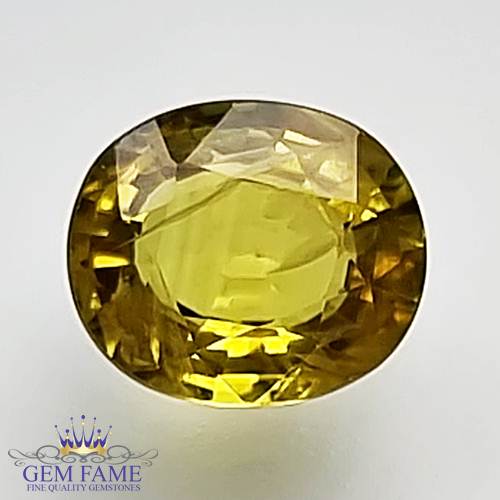Yellow Sapphire 1.26ct Natural Gemstone Thailand