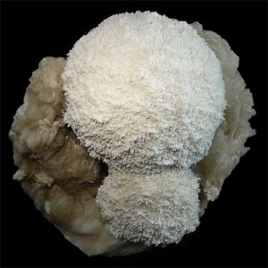 Mordenite: White fibrous crystals symbolizing calmness.