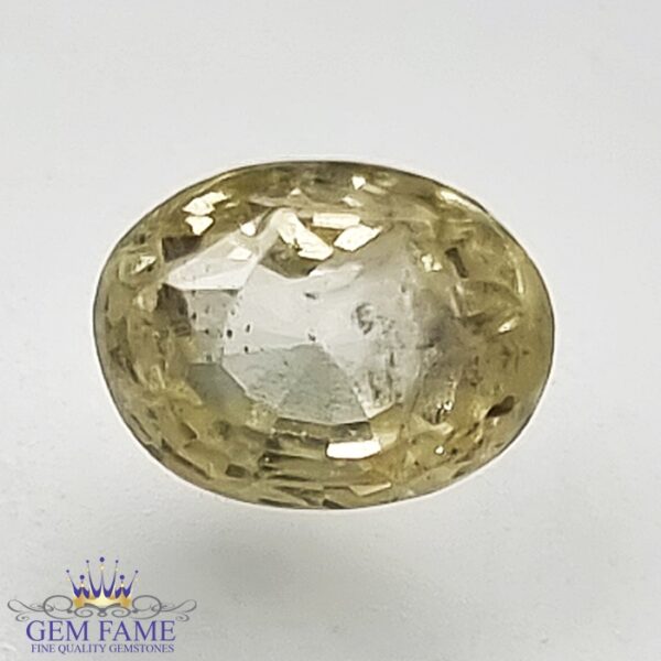 Yellow Sapphire (Pukhraj) 1.52ct Gemstone Ceylon