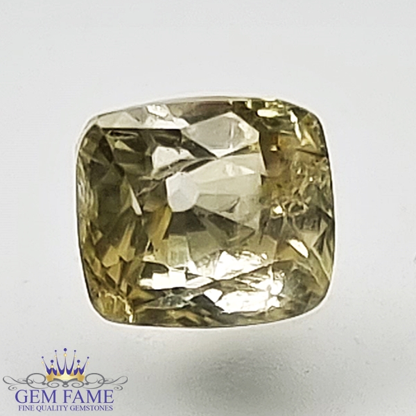 Yellow Sapphire (Pukhraj) 1.46ct Gemstone Ceylon