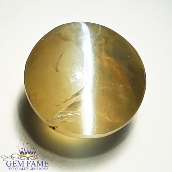 Chrysoberyl Cat's Eye 12.67ct Gemstone Ceylon