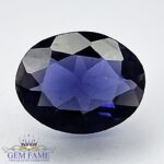 Iolite 1.17ct (Neeli) Gemstone India