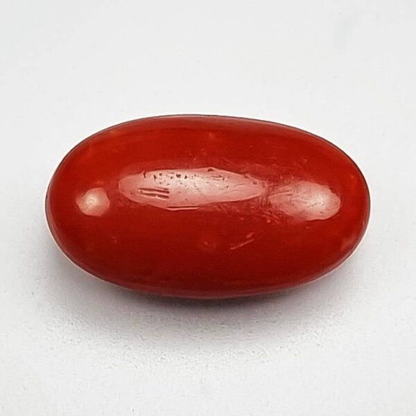Japan Coral Natural Gemstone