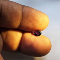 Alexandrite Gemstone